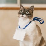 保険営業で上手くいくためのセミナー活用術とは？