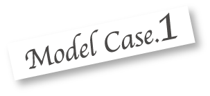 model case01