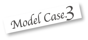 model case03